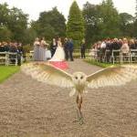 Wedding at Auchen Castle Scotland